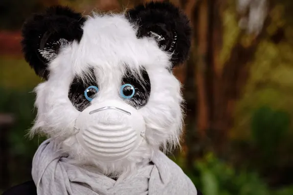 TopBet Casino Support